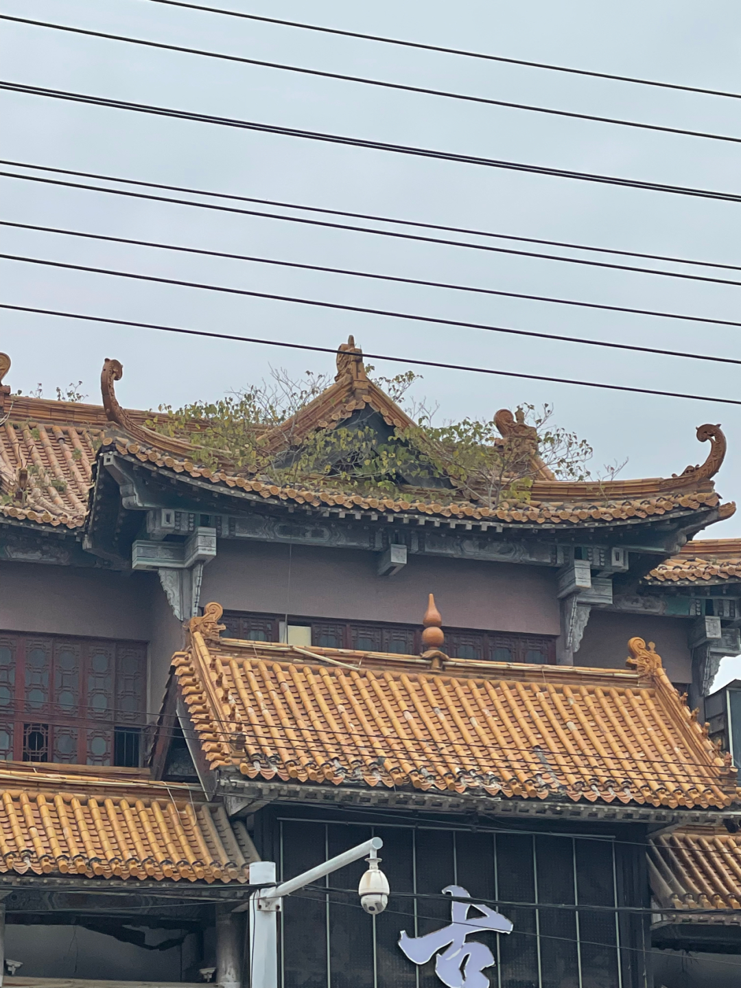 《懂懂骑山东》--菏泽单县 