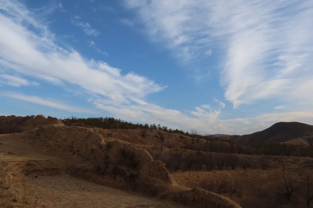 后续，上位ING！ 