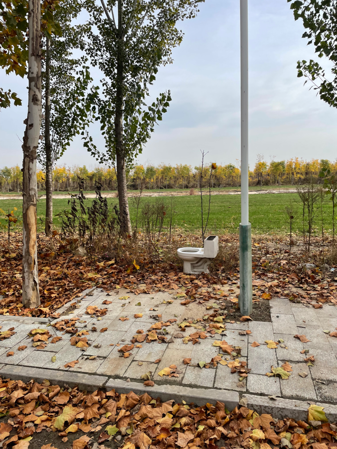 《懂懂骑山东》--菏泽东明县 