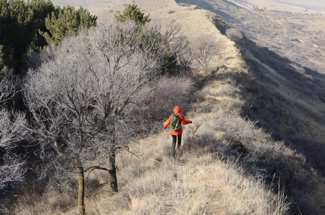 我从山海关爬到了嘉峪关(连载九)