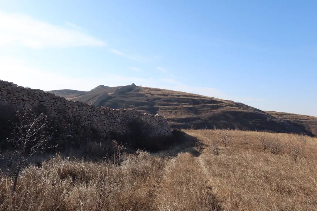 后续，上位ING！ 