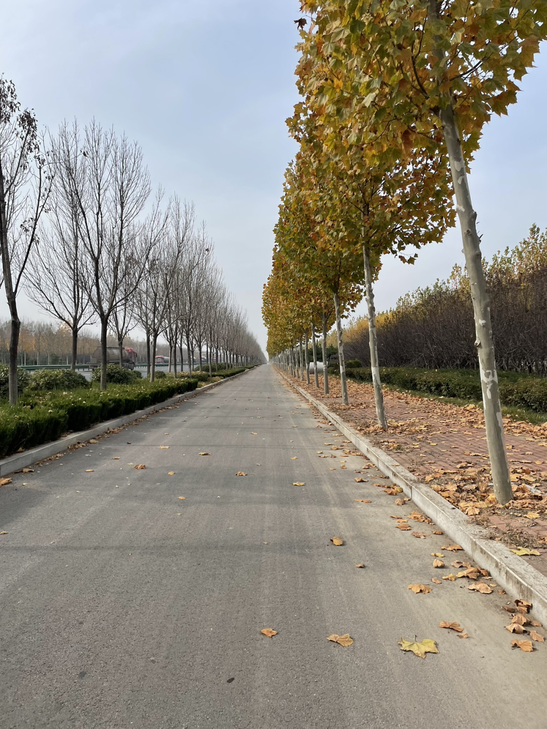 《懂懂骑山东》--聊城主城区 