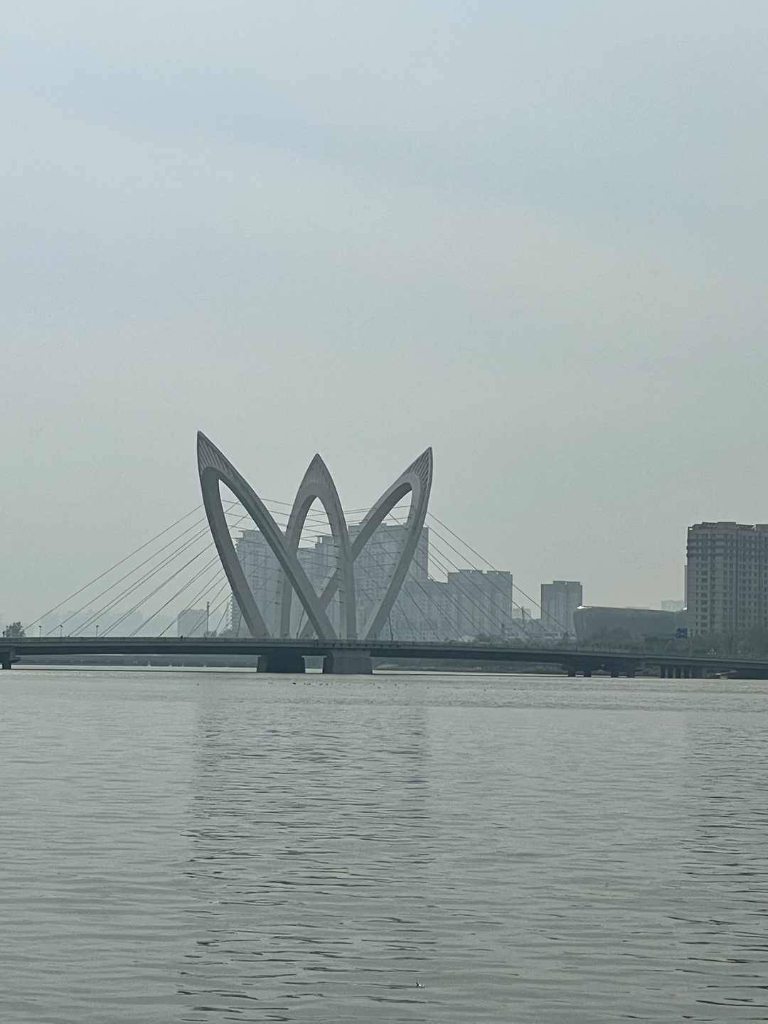 《懂懂骑山东》--聊城主城区 