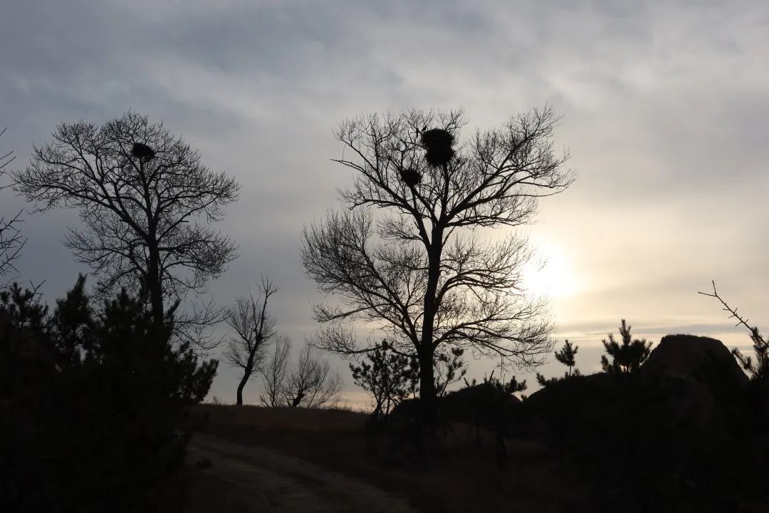 后续，上位ING！ 