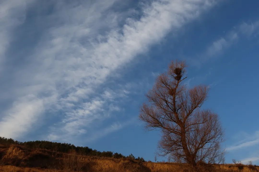 后续，上位ING！ 