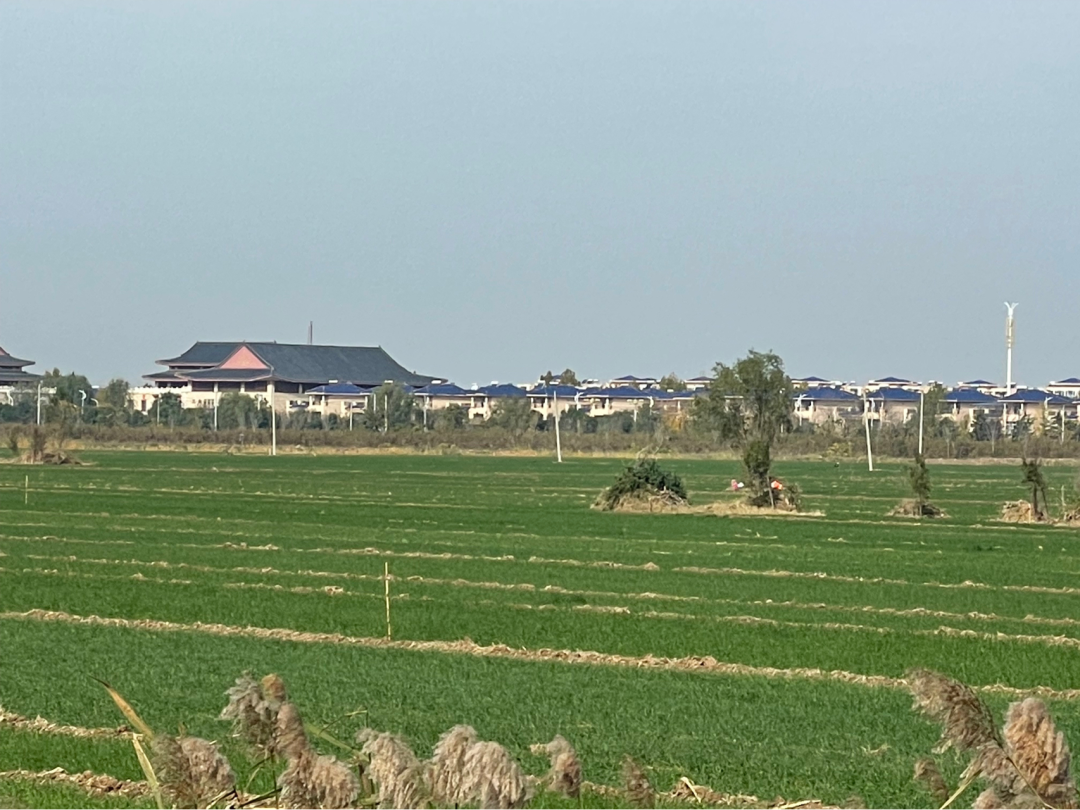 《懂懂骑山东》--菏泽东明县 