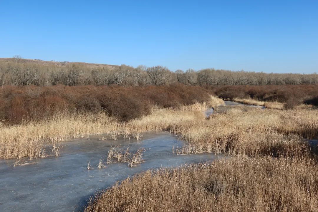 我从山海关爬到了嘉峪关（连载十） 