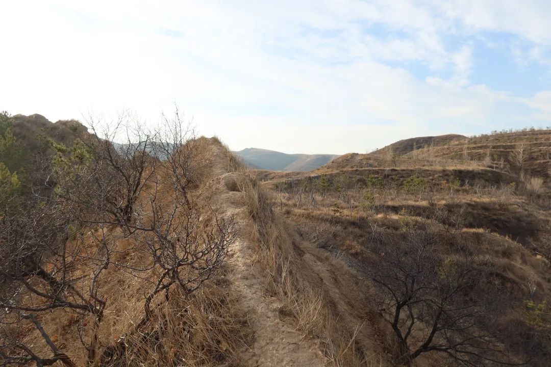 后续，上位ING！ 