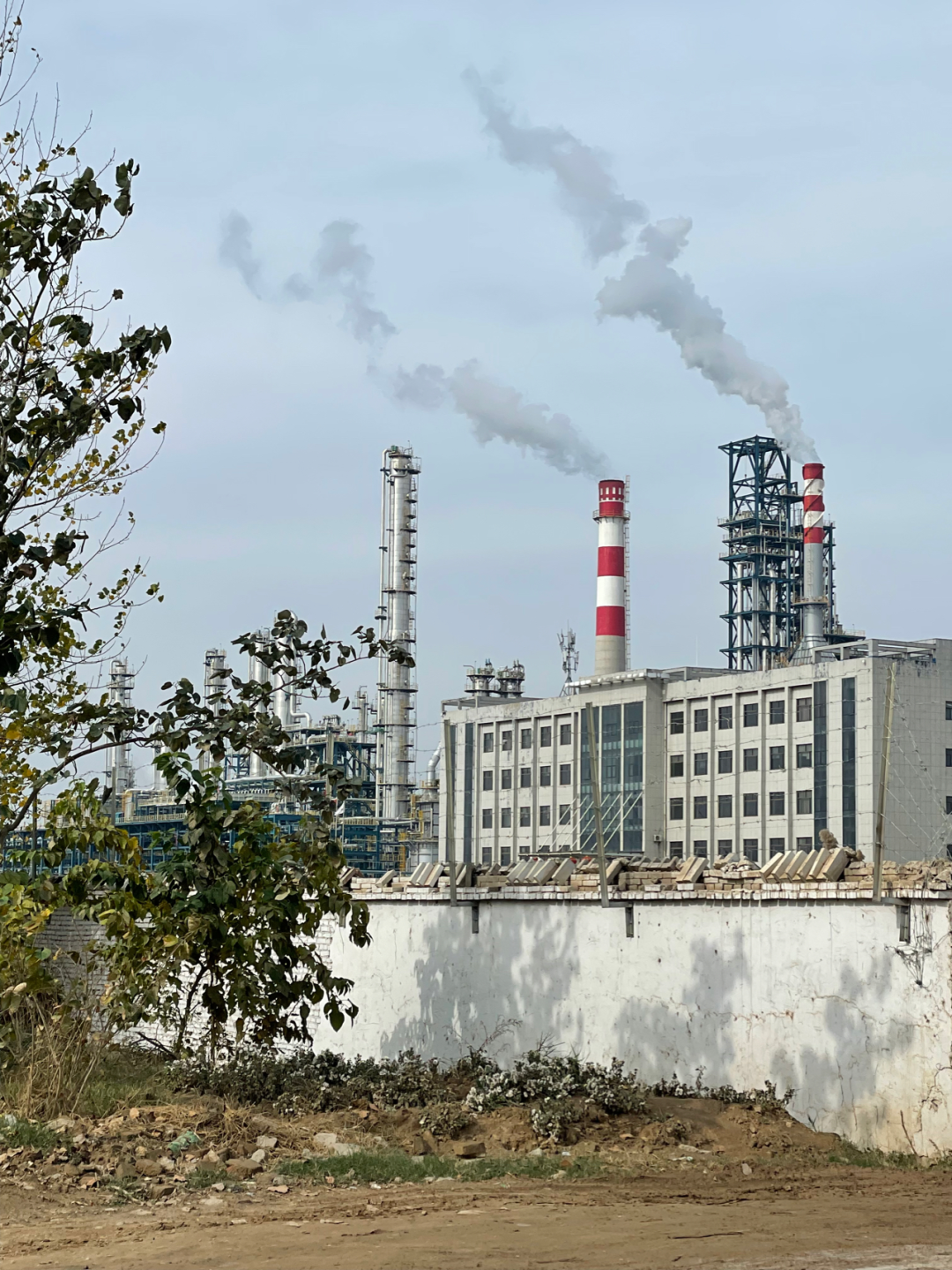 《懂懂骑山东》--菏泽东明县 