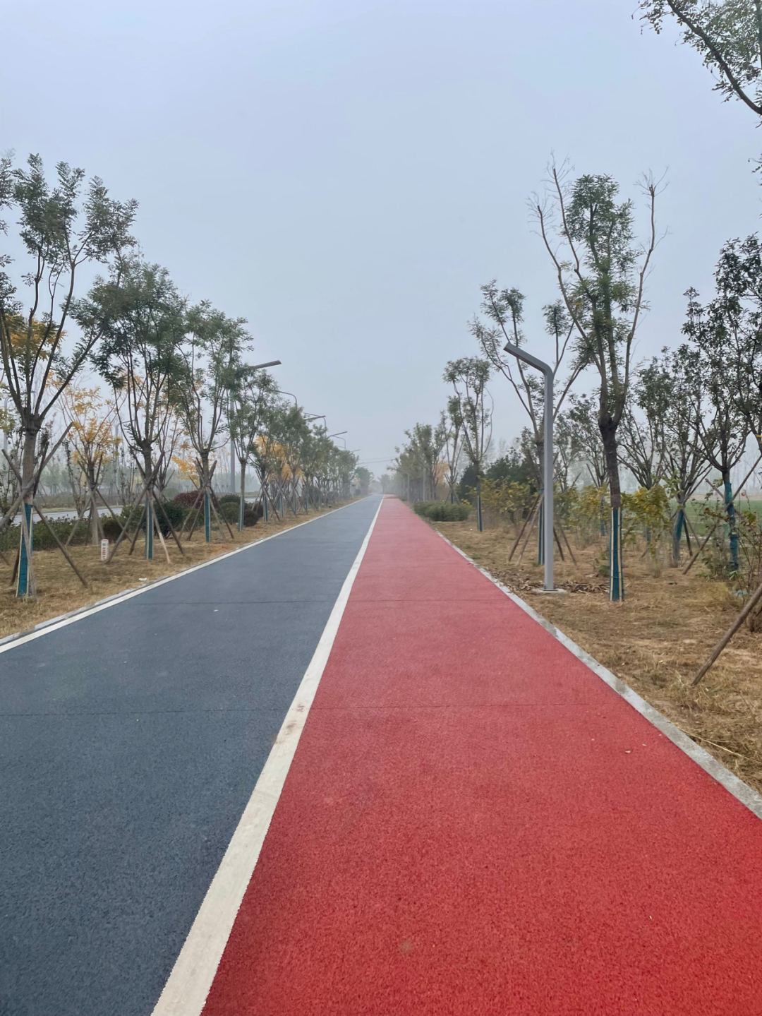 《懂懂骑山东》--菏泽巨野县 