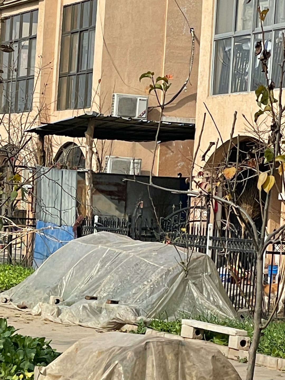 《懂懂骑山东》--菏泽东明县 