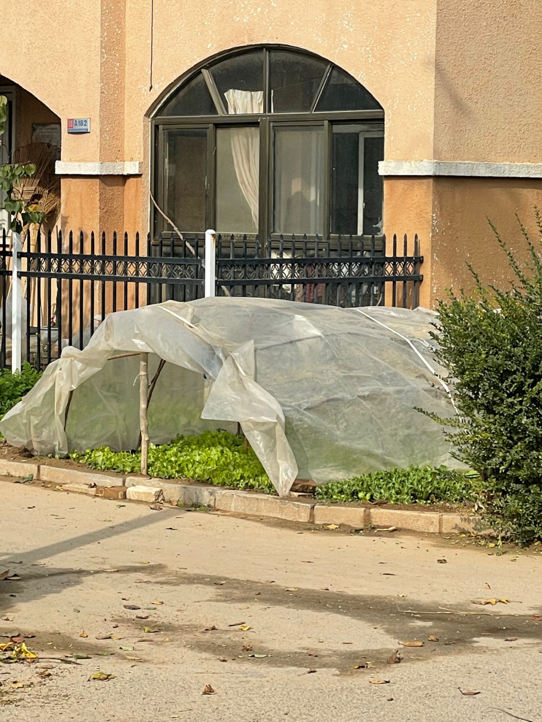 《懂懂骑山东》--菏泽东明县 