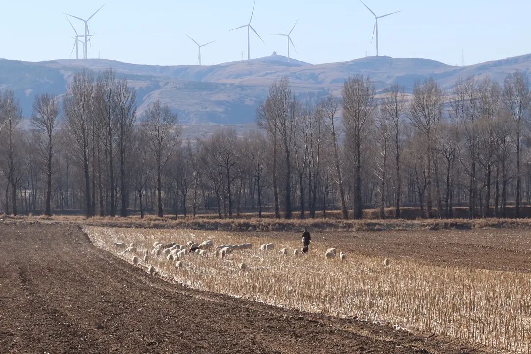 我从山海关爬到了嘉峪关（连载十） 