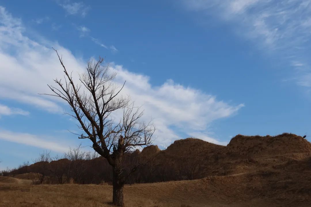 后续，上位ING！ 