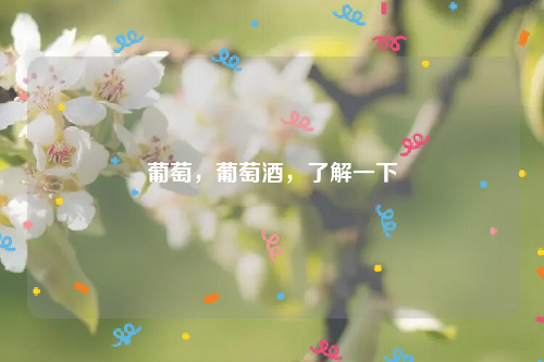葡萄，葡萄酒，了解一下