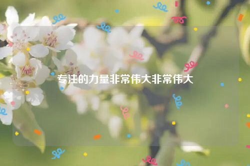 专注的力量非常伟大非常伟大