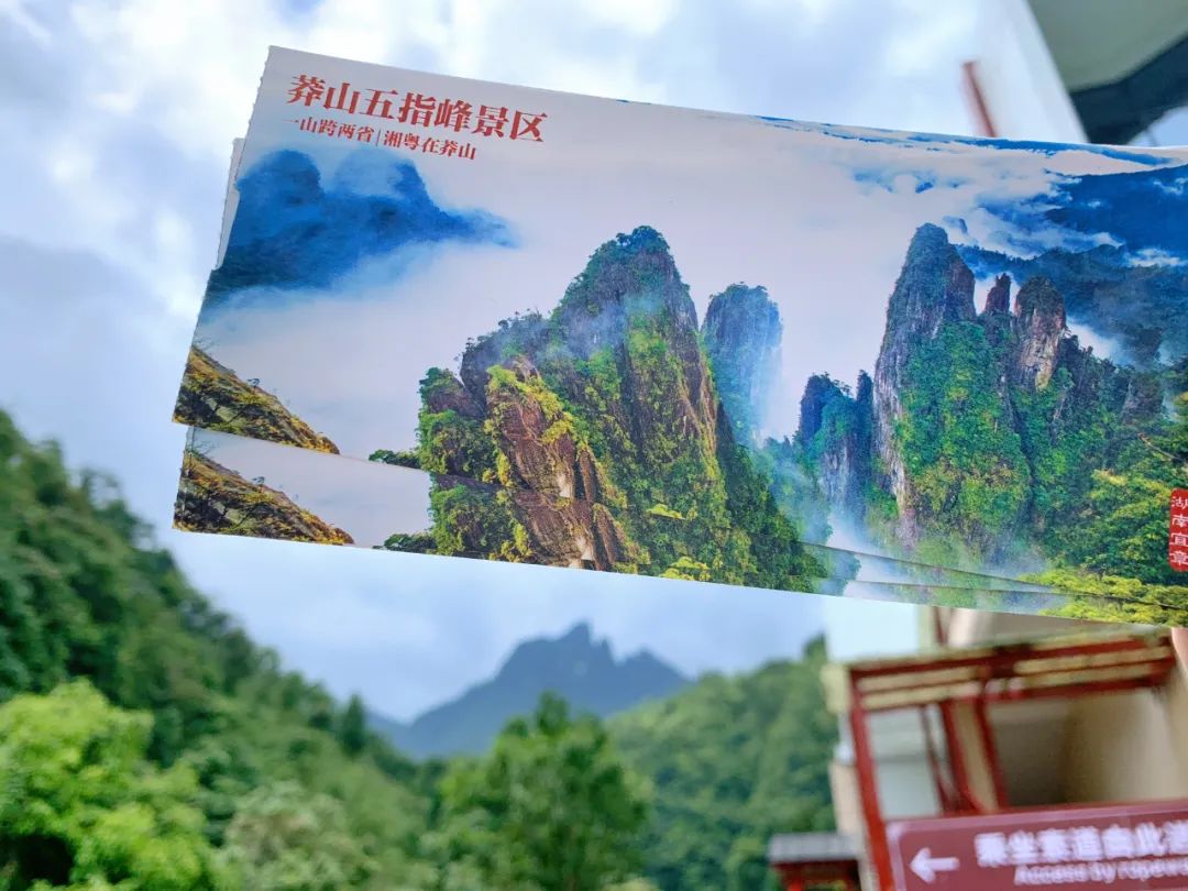 【春夏莽山高铁3日】莽山五指峰云海栈道+高椅岭+白廊环湖